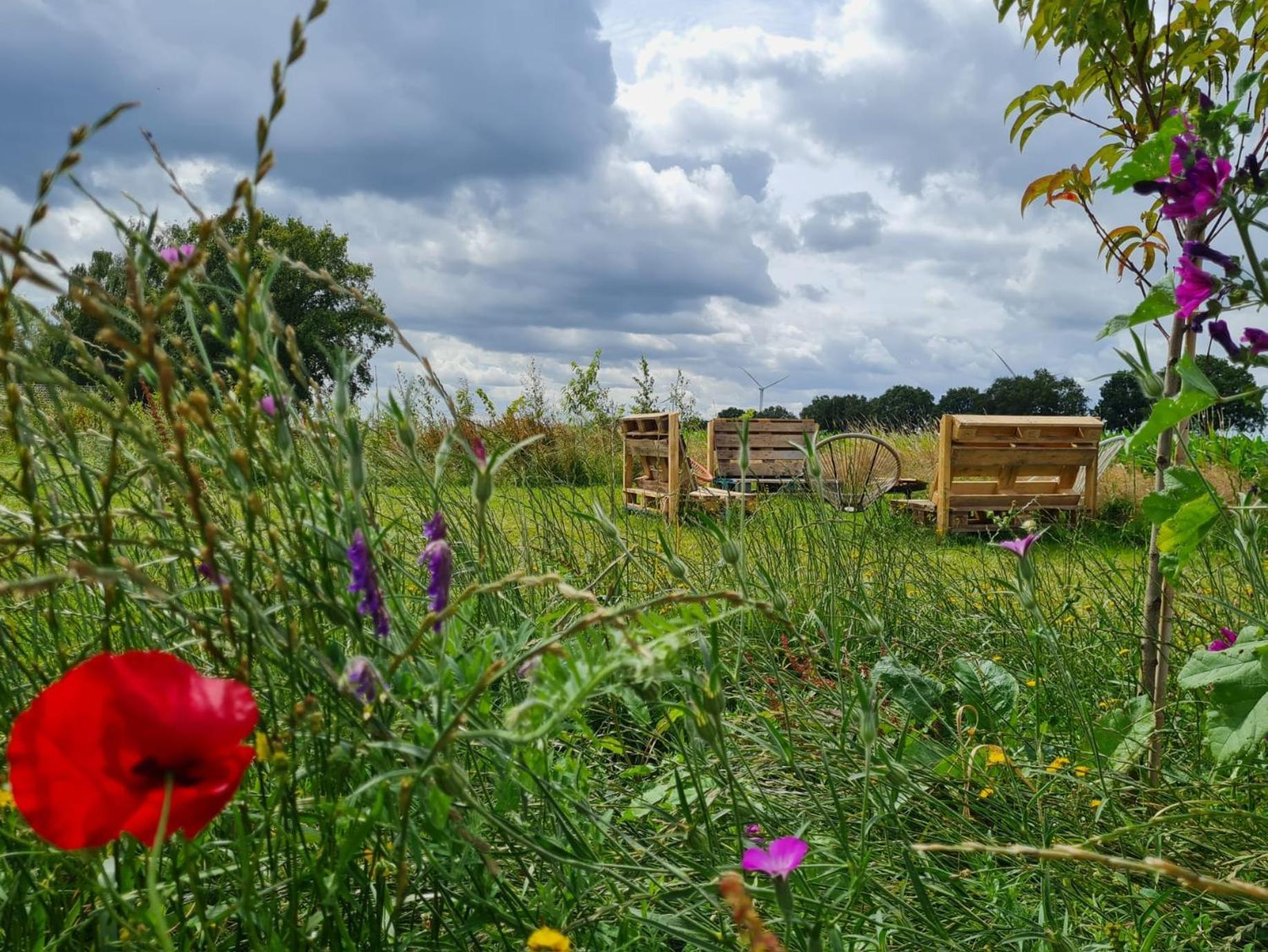 Bell Tent In Een Voedselbos Nederweert-Eind Exterior photo